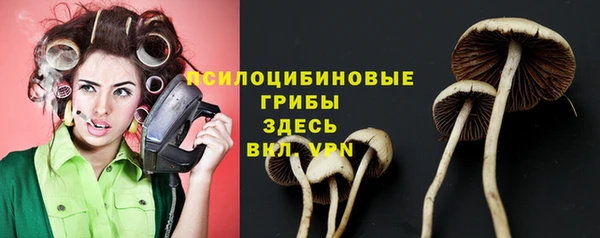 а пвп мука Липки