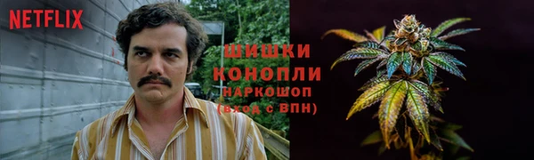 прущий лед Горняк