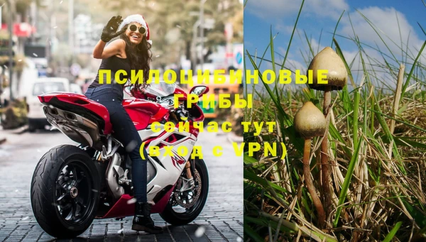 Альфа ПВП Лиски