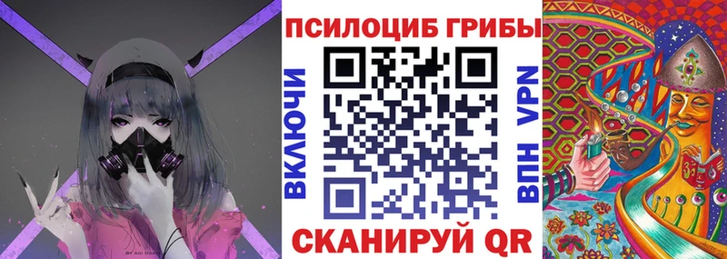 Галлюциногенные грибы Psilocybe  Мензелинск 