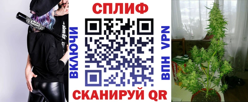 Бошки марихуана сатива  darknet формула  Мензелинск 